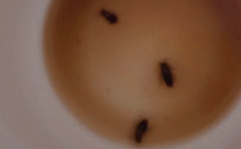 [���A]�������400��8ƪ