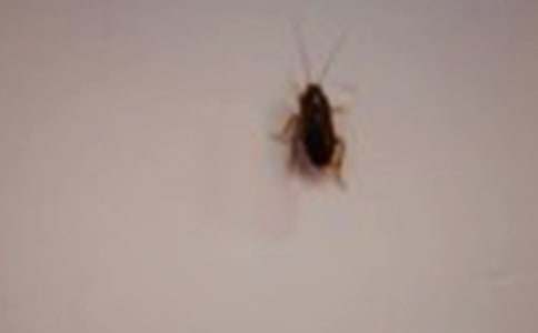 ��뚞���(zh��n)��������