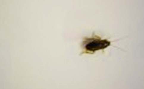 �o������С�W(xu��)����