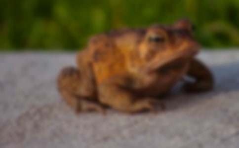 ��ܵ��������꼉(j��)����