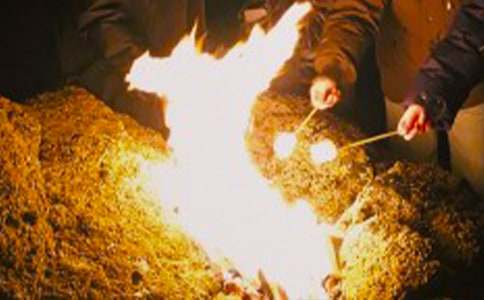 �����������400�֣����x20ƪ��