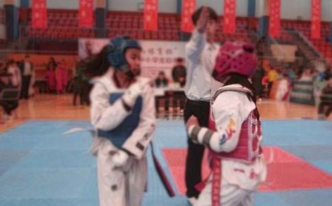 弟弟學跆拳道作文(通用18篇)