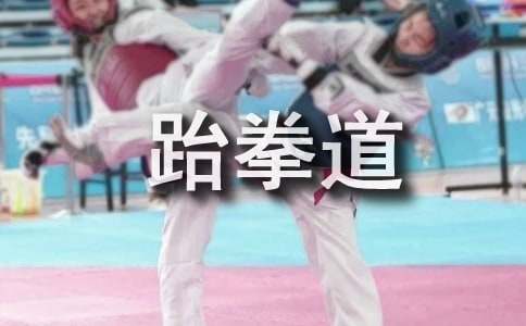 學(xué)跆拳道的小學(xué)作文450字