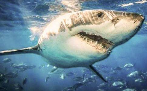 ���~С�W(xu��)����