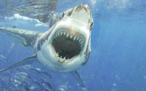 ���o���~�����}������