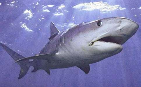 ���o(h��)���~(y��)������ƪ