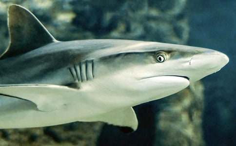 ���~������