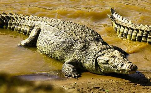 �P(gu��n)���{�~��С�W(xu��)������