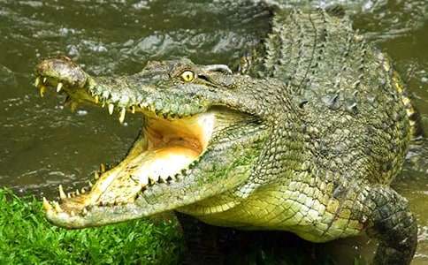 �{�~(y��)���ۜIͯԒ����