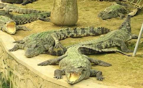 �{�~�ܵ��a(b��)��ӛ���꼉����