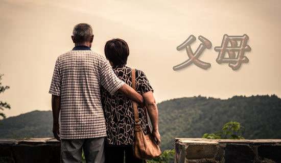 ���x��ĸ����600��Ԓ�}��(y��u)������7ƪ�����T��