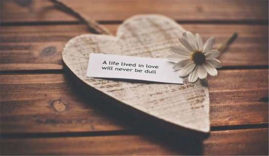 ��(��i)����~�Z(y��)(�ɂ�(g��)��)