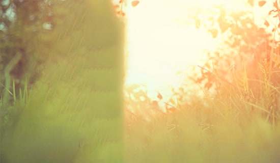 Ѧ֮�tΨ�����ĵĸ��~11��