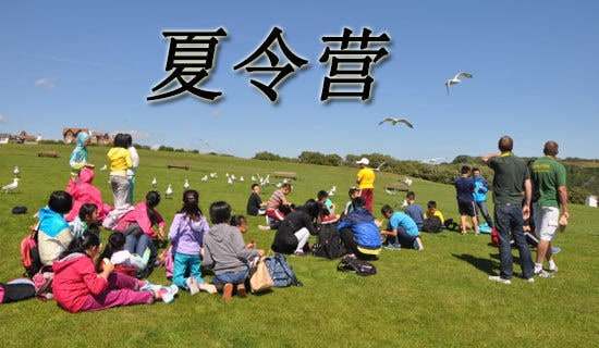 ܊Ӗ����I����850�֣�ͨ��24ƪ��