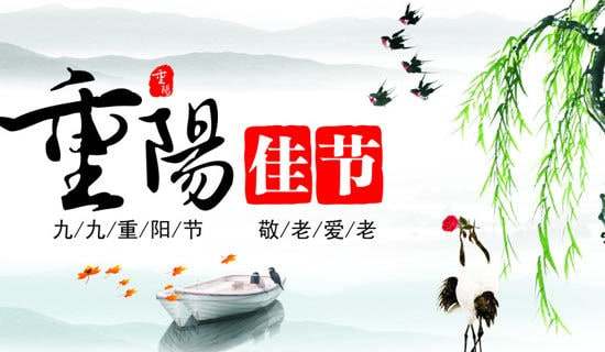 ���(y��ng)��(ji��)���i5ƪ