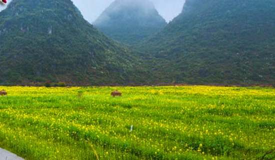 �옷�Ĵ�������700�֣����x10ƪ��